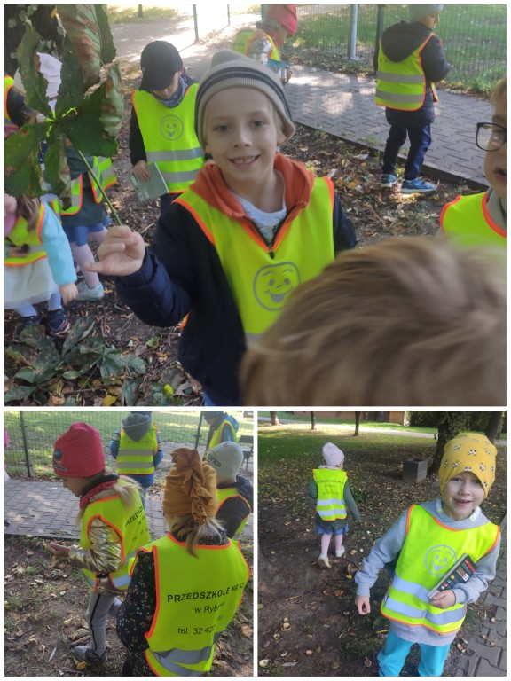 Przedszkolaki szukają jesiennych skarbów w parku