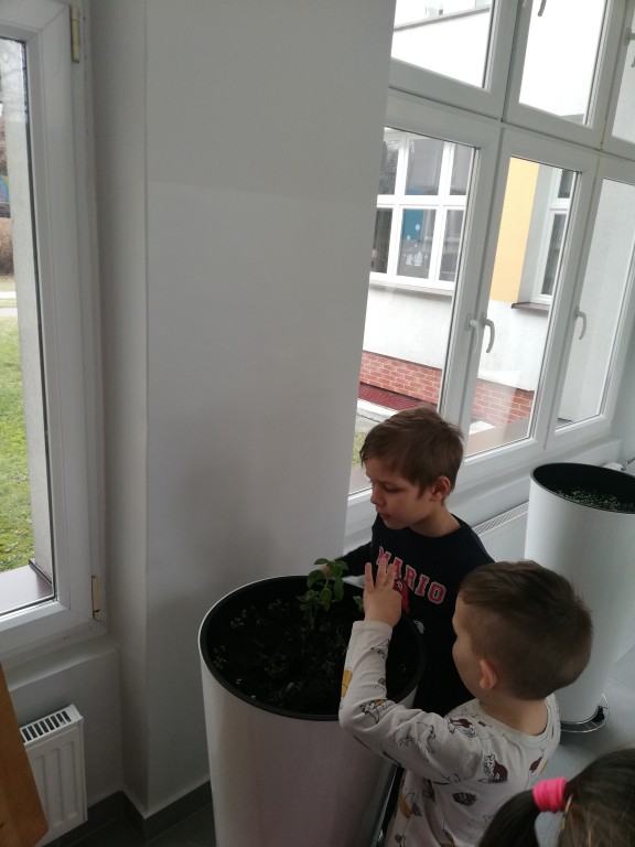 Dzieci i rośliny w przedszkolu