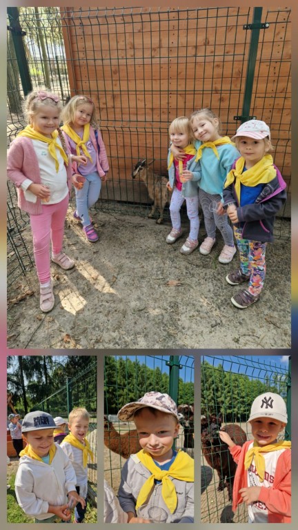 dzieci przedszkolne w zagrodzie ze zwierzętami