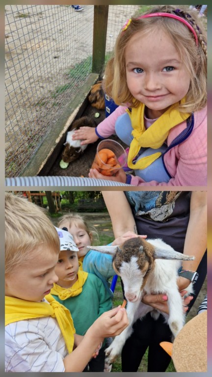 dzieci przedszkolne w zagrodzie ze zwierzętami