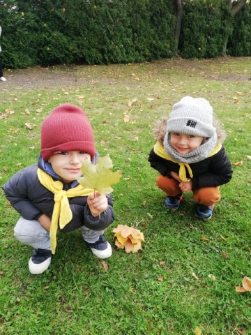 Dwaj chłopcy w ogrodzie obserwują liście